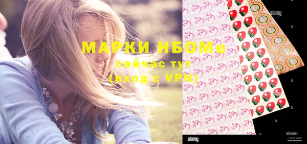 гашик Алексеевка