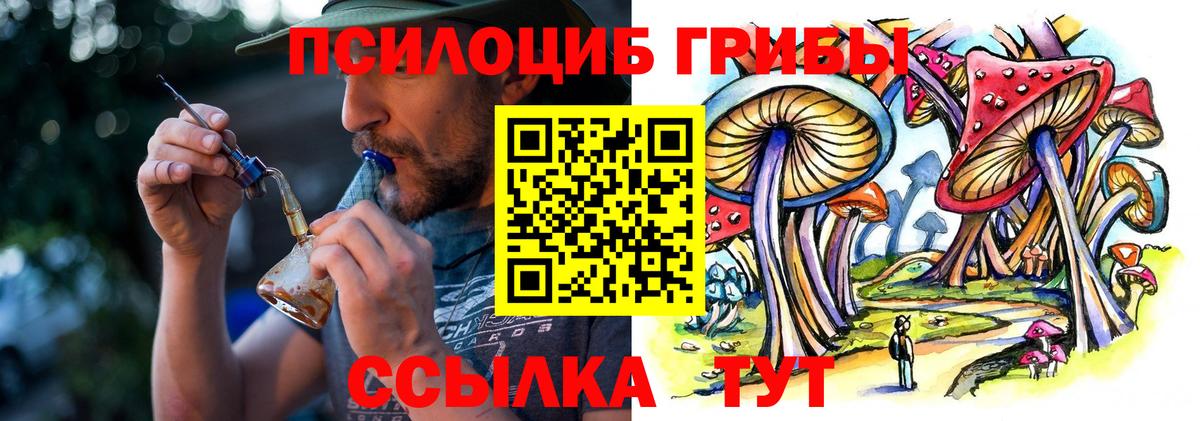 Галлюциногенные грибы Cubensis  Вход с VPN  Урюпинск 