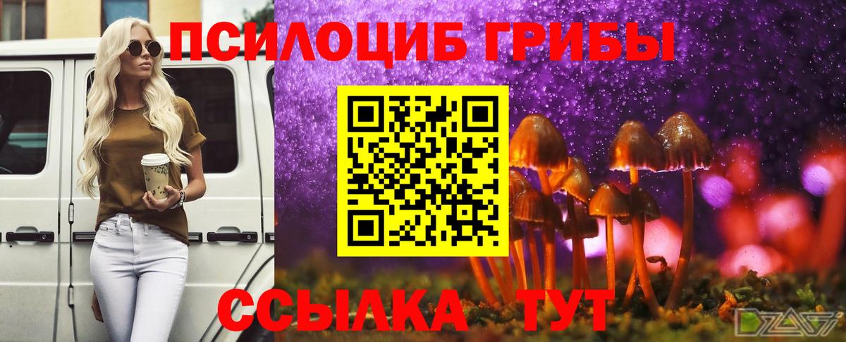 Галлюциногенные грибы MAGIC MUSHROOMS Урюпинск